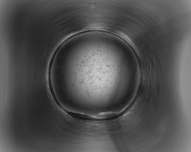 X0000088651339200705251454