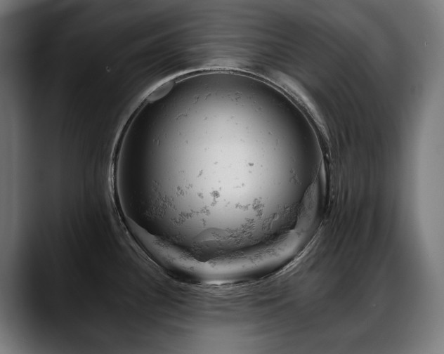 X0000088651340200705251454