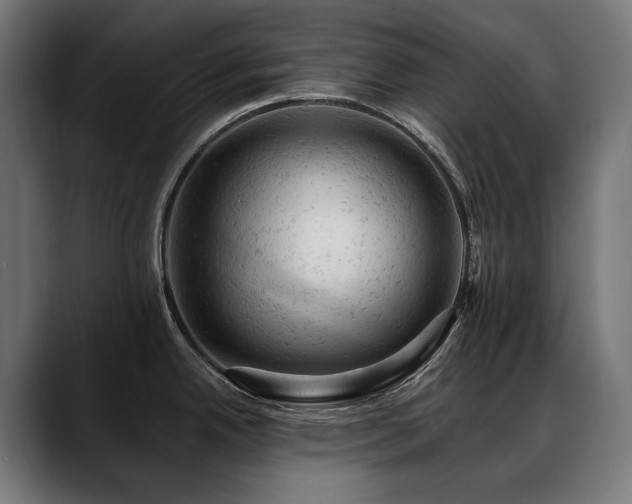X0000088651342200705251454