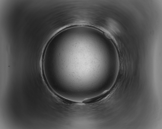 X0000088651343200705251454