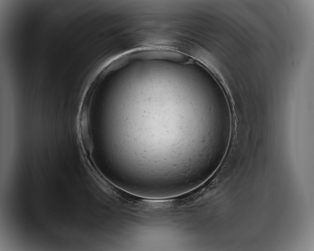 X0000088651344200705251454