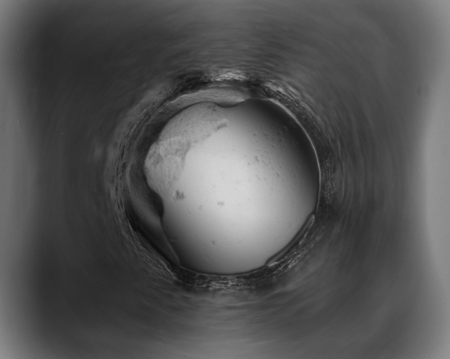 X0000088651345200705251453