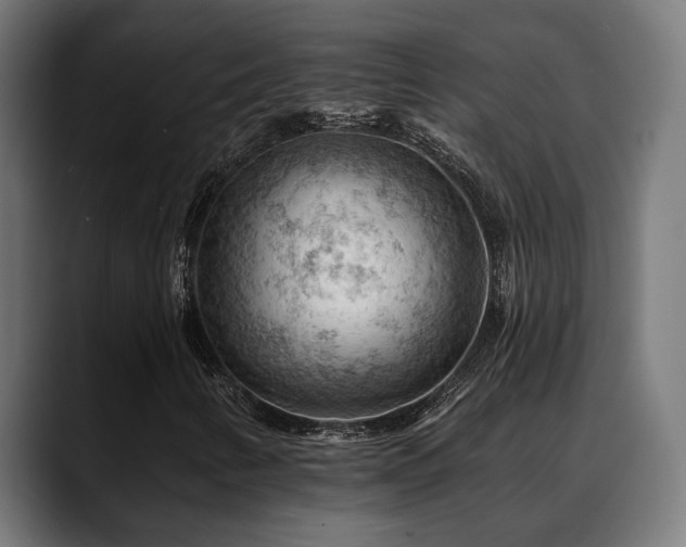 X0000088651346200705251453
