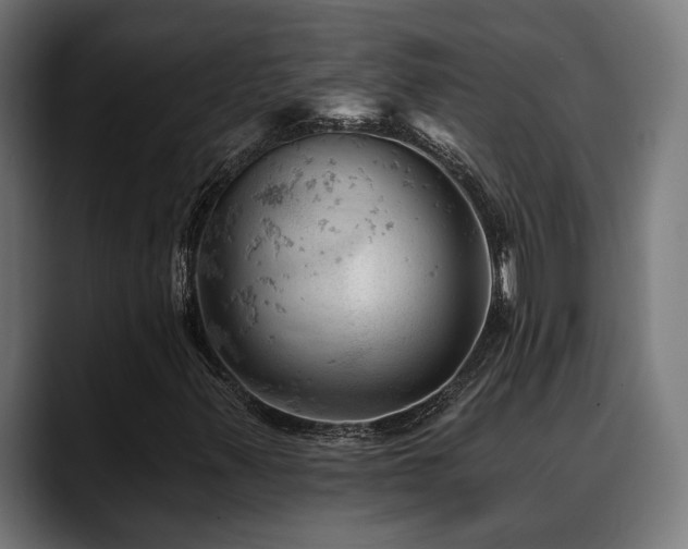 X0000088651347200705251453