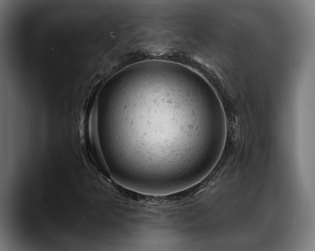 X0000088651349200705251453