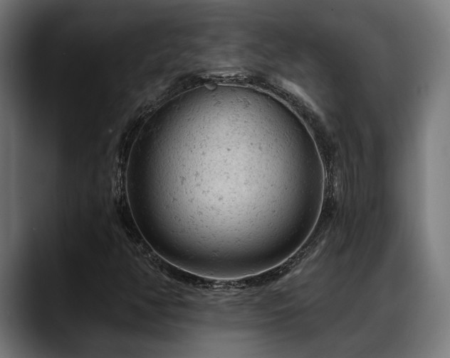 X0000088651350200705251453