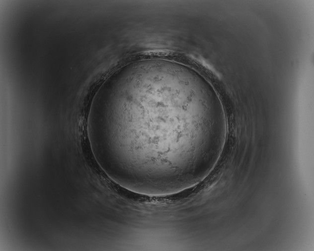 X0000088651351200705251453