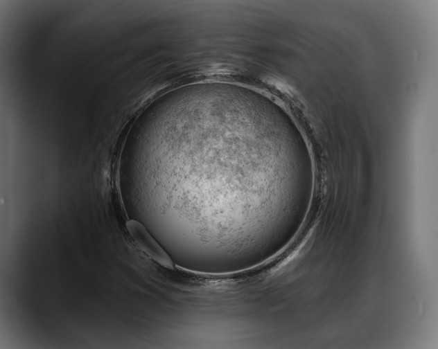 X0000088651353200705251453