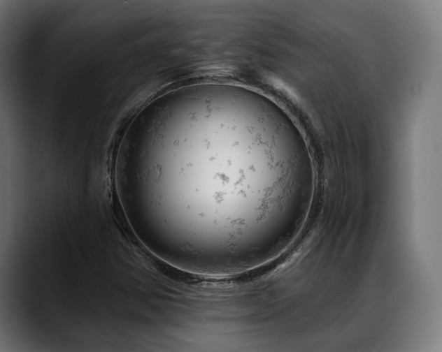 X0000088651354200705251453
