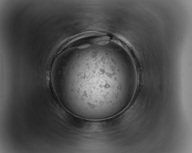 X0000088651355200705251453