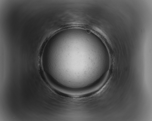 X0000088651357200705251453