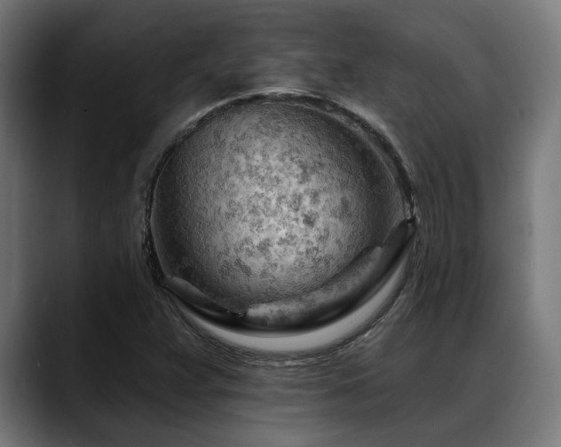X0000088651359200705251453