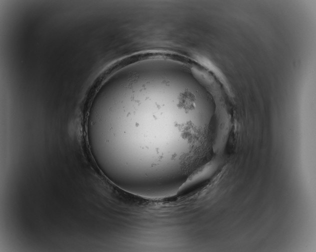 X0000088651360200705251453