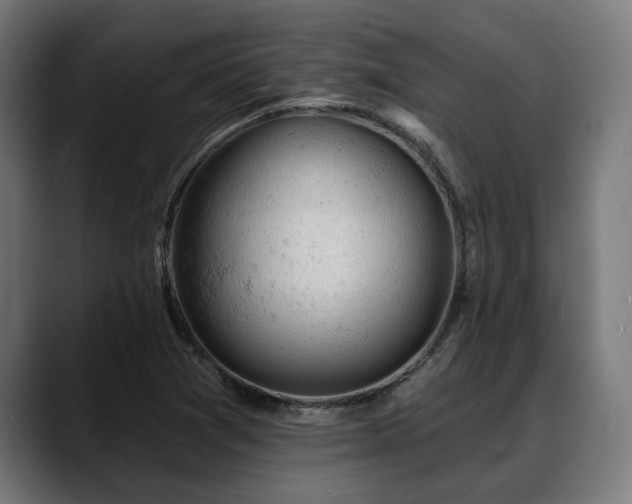 X0000088651361200705251453
