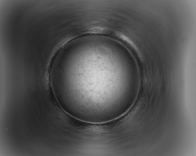 X0000088651362200705251453