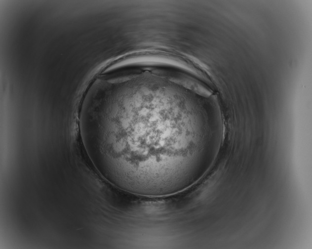 X0000088651363200705251453