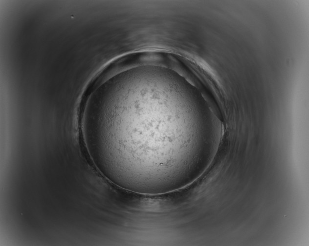 X0000088651364200705251453
