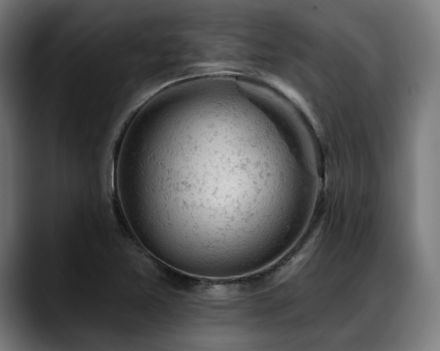 X0000088651365200705251453