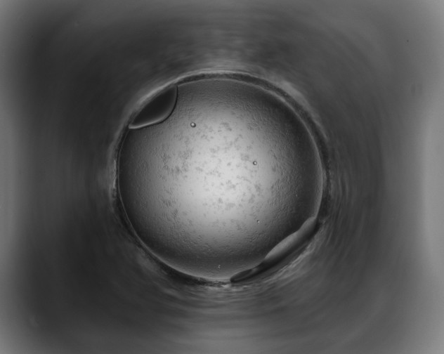 X0000088651366200705251453