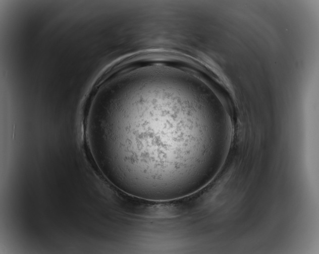 X0000088651368200705251453