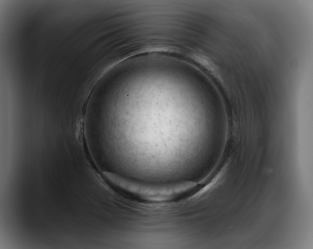 X0000088651369200705251453