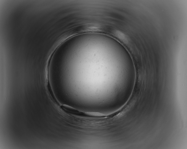 X0000088651370200705251453