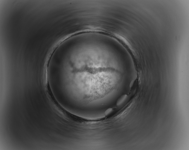 X0000088651371200705251453