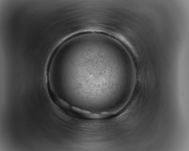 X0000088651372200705251453