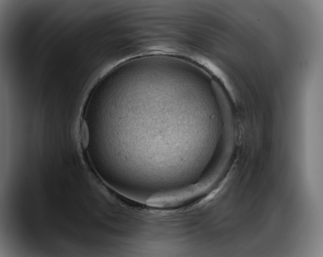X0000088651373200705251453