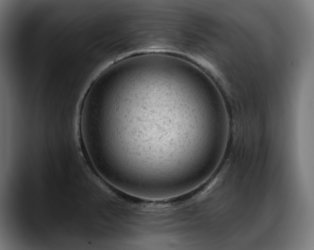 X0000088651374200705251453