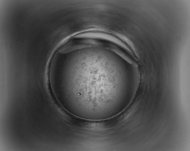 X0000088651375200705251453