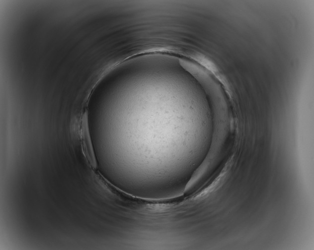 X0000088651377200705251453