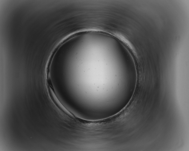 X0000088651380200705251453