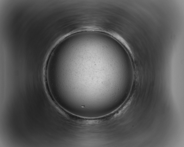 X0000088651381200705251453