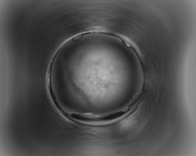 X0000088651383200705251453