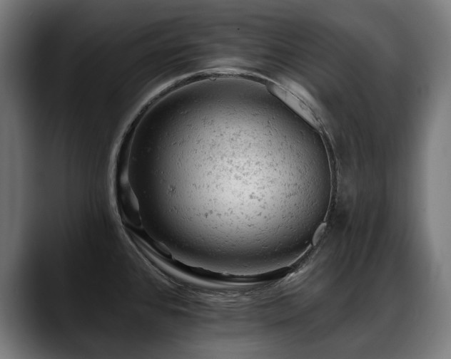 X0000088651384200705251453