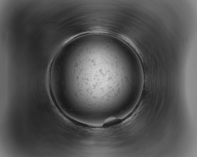 X0000088651387200705251452