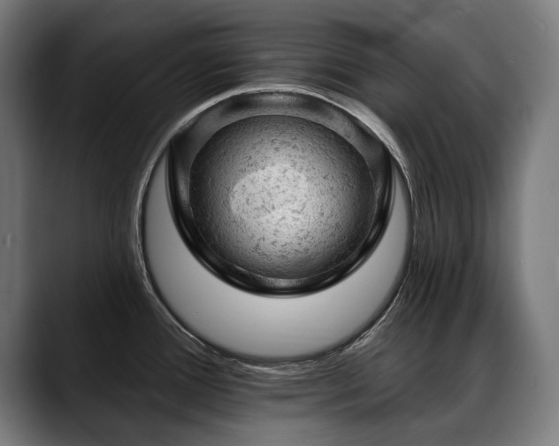 X0000088651388200705251452