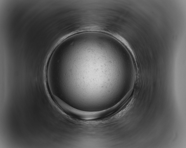 X0000088651389200705251452