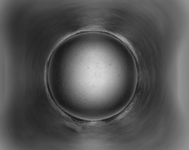 X0000088651390200705251452