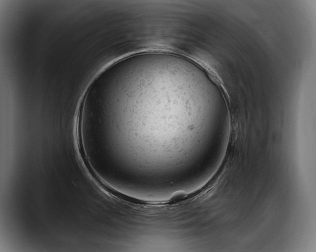 X0000088651391200705251452