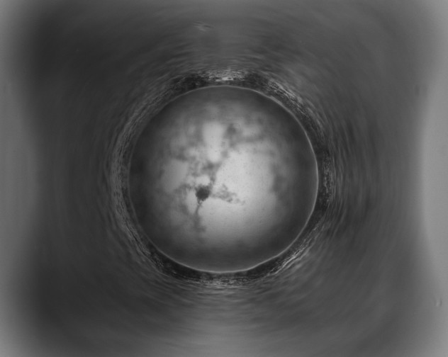 X0000088651393200705251452