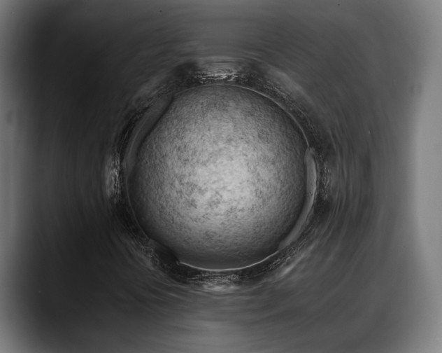 X0000088651394200705251452
