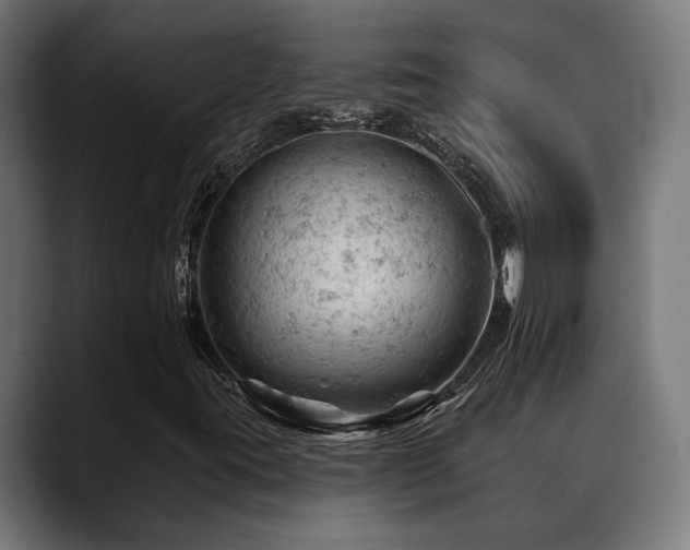 X0000088651395200705251452
