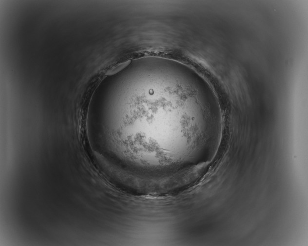 X0000088651399200705251452