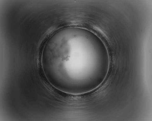X0000088651403200705251452