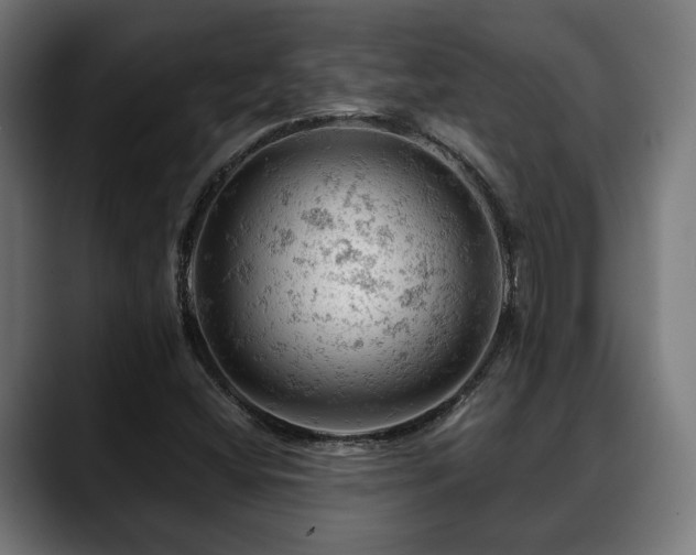 X0000088651404200705251452