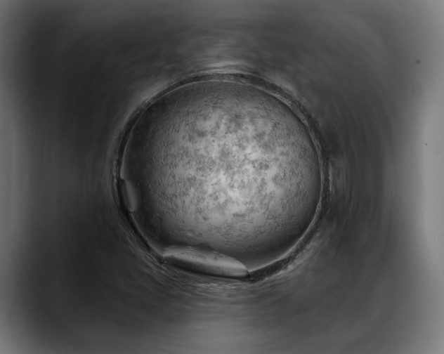 X0000088651405200705251452