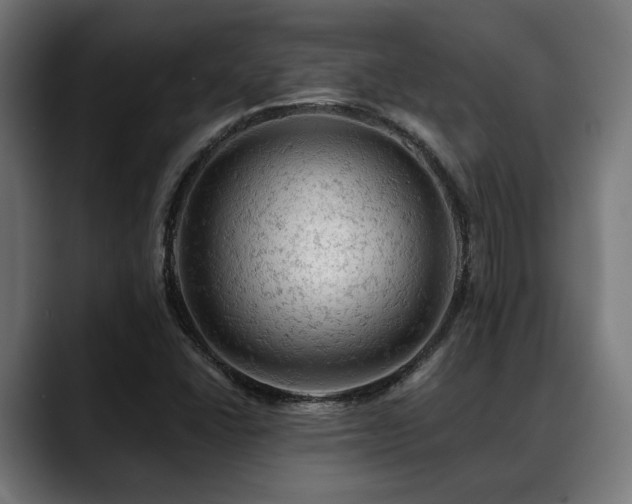 X0000088651406200705251452