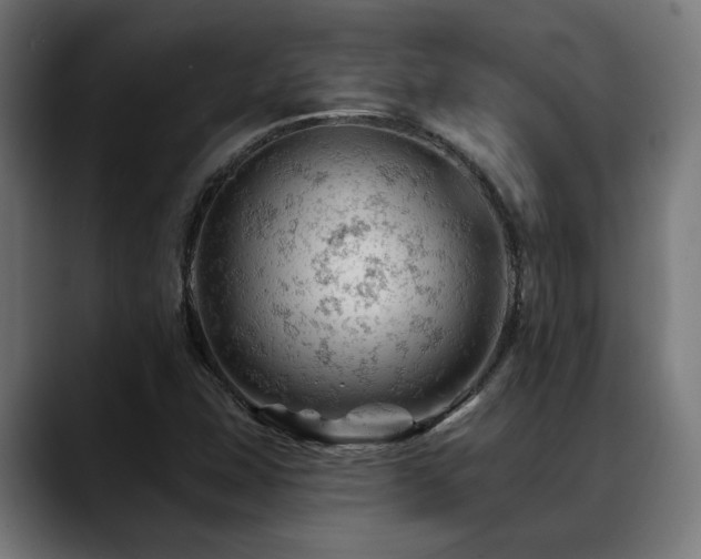 X0000088651407200705251452